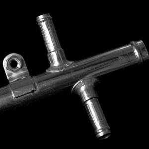 Halter7.jpg