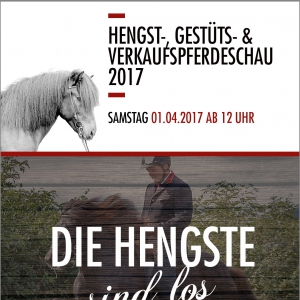 Printkampagne zur Hengstschau auf Gestüt Federath.