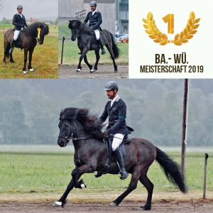 Baden-Württembergische Meisterschaft 2019