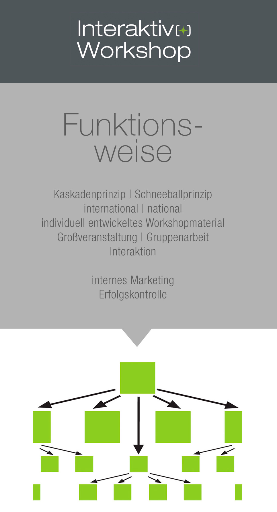Interaktiv Workshop, Funktionsweise