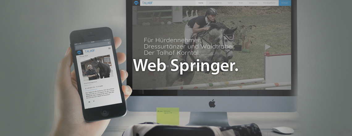 Webdesign der schiegl gmbh